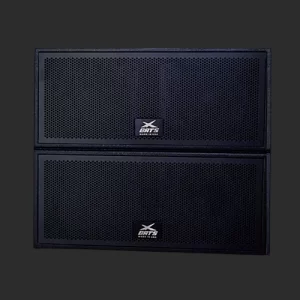 Cabina Array Pasiva APL208P 4x8'' 3000W